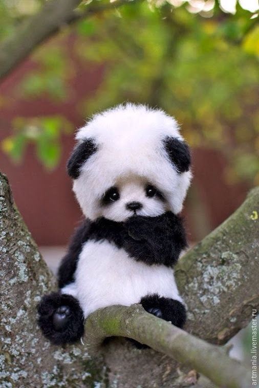 A tiny panda-like creature sitting on a tree